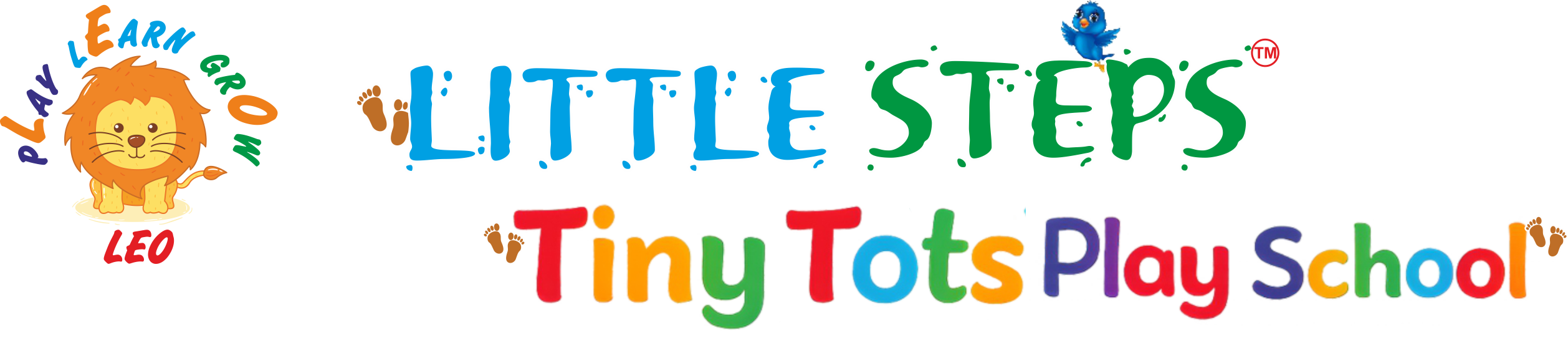 LITTLE STEPS TINY TOTS PLAY SCHOOL